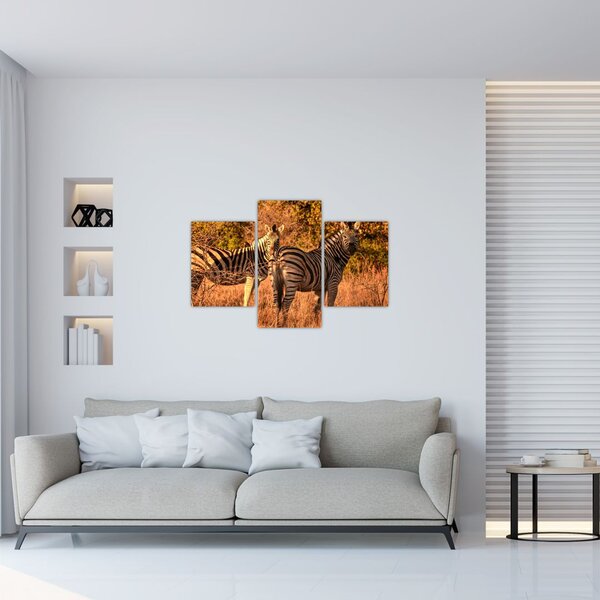 Tablou cu zebre (90x60 cm)