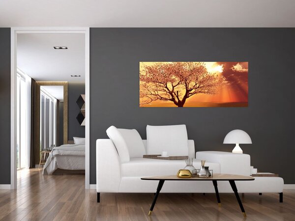 Tablou cu razele lui Dumnezeu (120x50 cm)