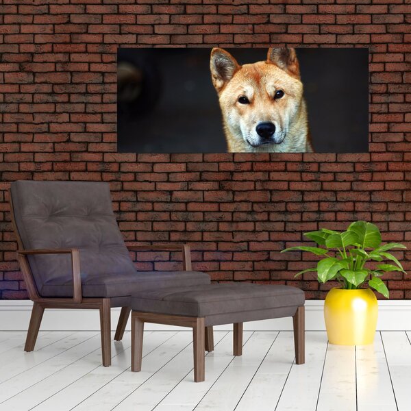 Tablou cu câine (120x50 cm)