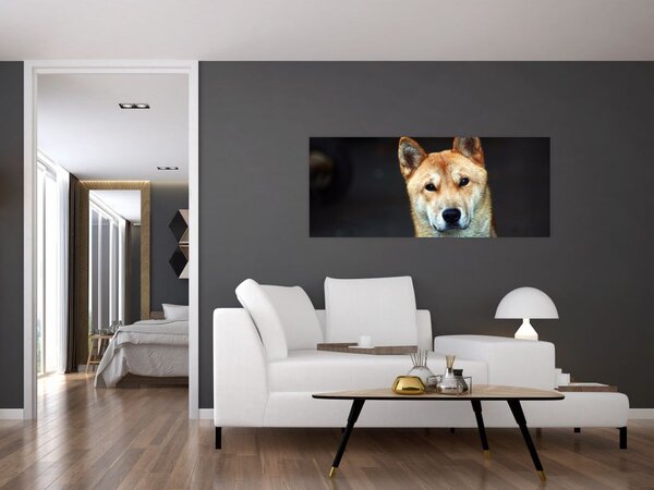 Tablou cu câine (120x50 cm)