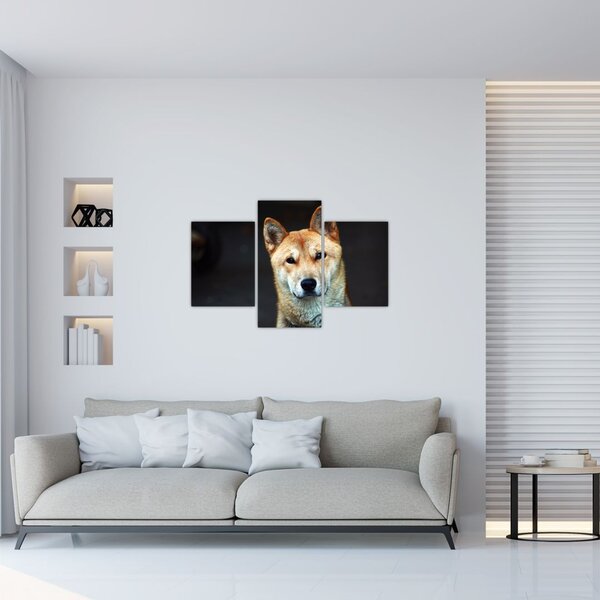 Tablou cu câine (90x60 cm)