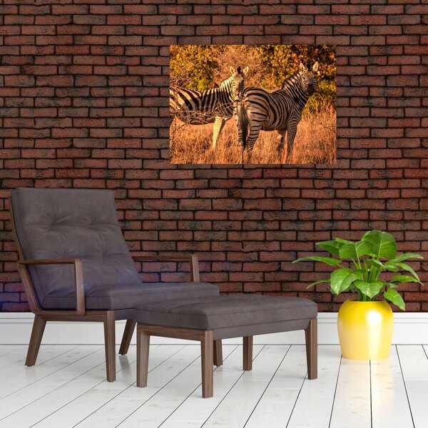 Tablou cu zebre (70x50 cm)