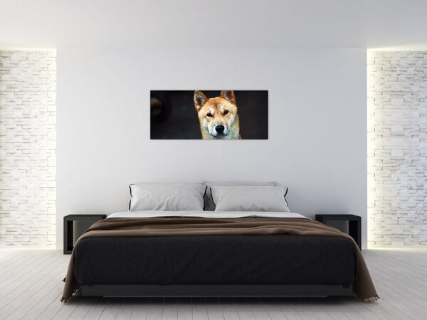 Tablou cu câine (120x50 cm)