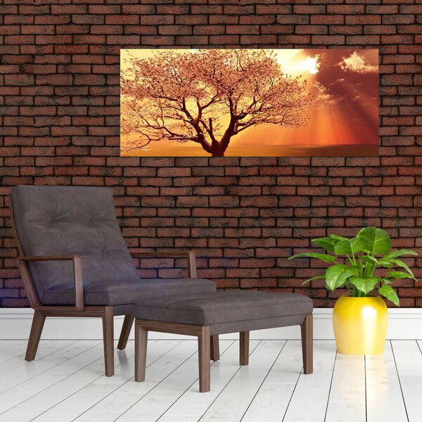 Tablou cu razele lui Dumnezeu (120x50 cm)