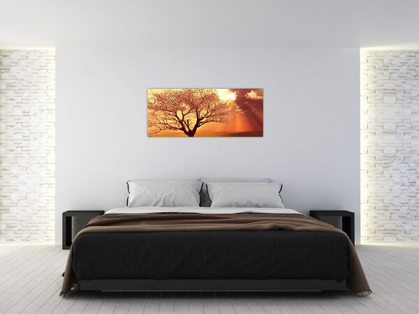 Tablou cu razele lui Dumnezeu (120x50 cm)