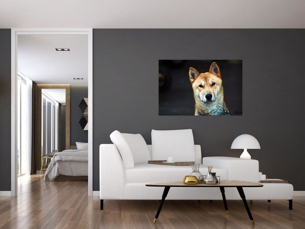 Tablou cu câine (90x60 cm)
