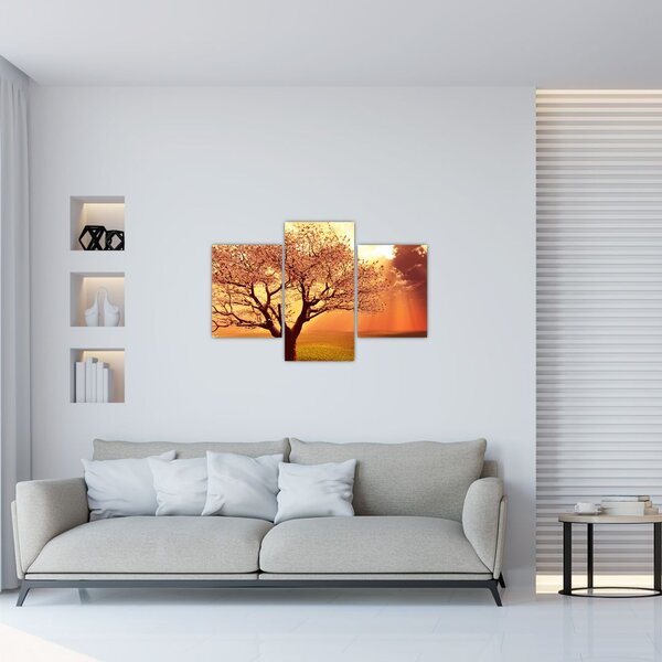 Tablou cu razele lui Dumnezeu (90x60 cm)
