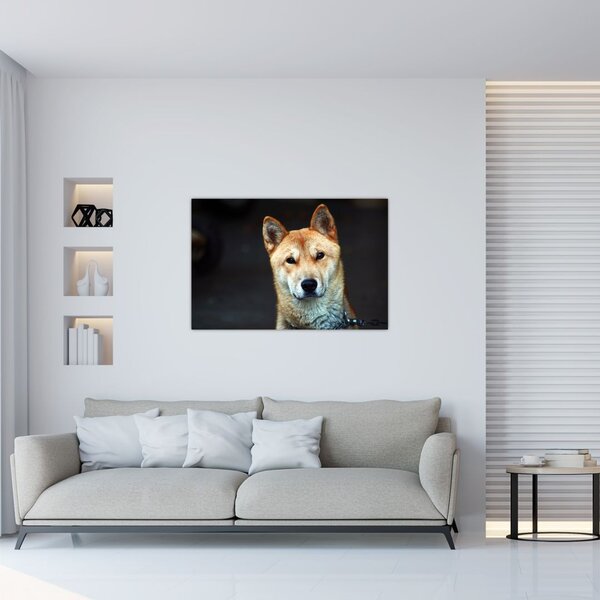 Tablou cu câine (90x60 cm)
