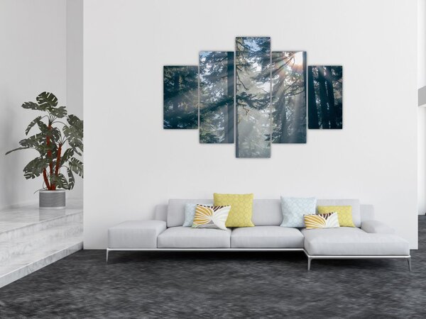 Tablou cu copaci și soarele translucind (150x105 cm)