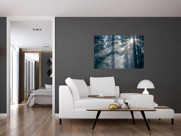 Tablou cu copaci și soarele translucind (90x60 cm)