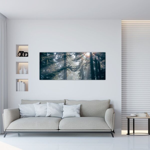 Tablou cu copaci și soarele translucind (120x50 cm)