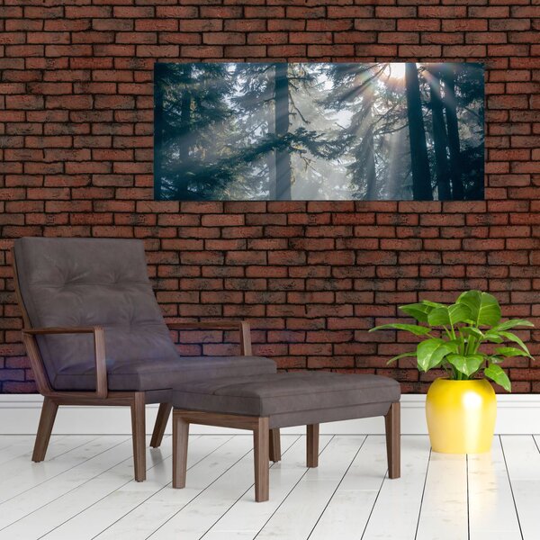 Tablou cu copaci și soarele translucind (120x50 cm)
