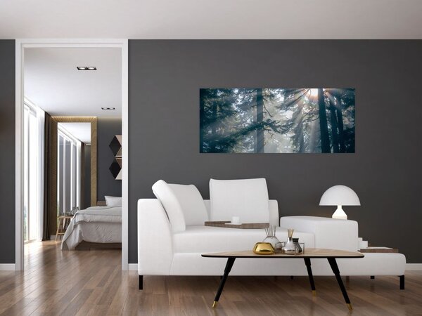 Tablou cu copaci și soarele translucind (120x50 cm)