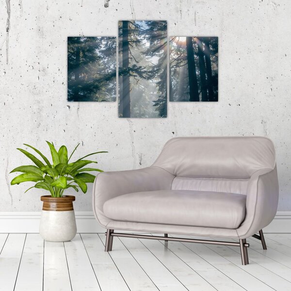 Tablou cu copaci și soarele translucind (90x60 cm)