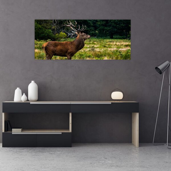 Tablou cu cerb (120x50 cm)