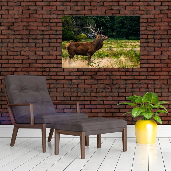 Tablou cu cerb (90x60 cm)