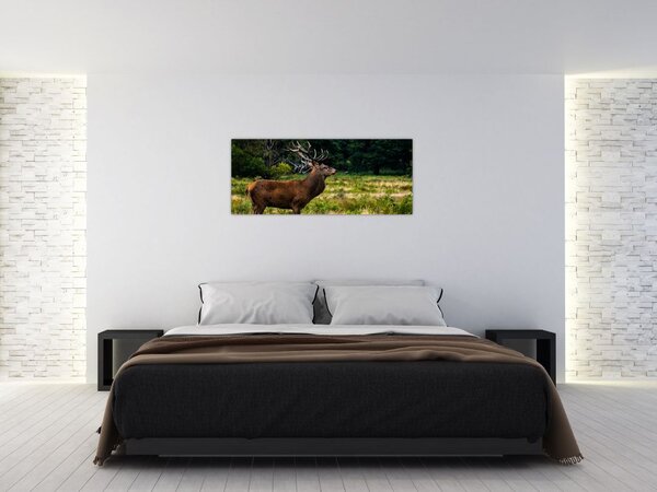 Tablou cu cerb (120x50 cm)