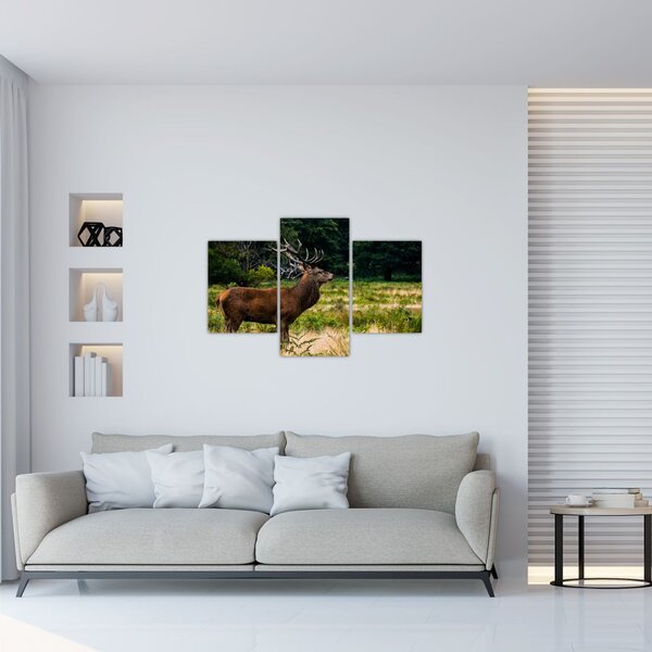 Tablou cu cerb (90x60 cm)