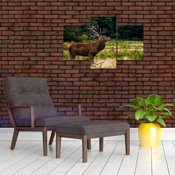 Tablou cu cerb (90x60 cm)