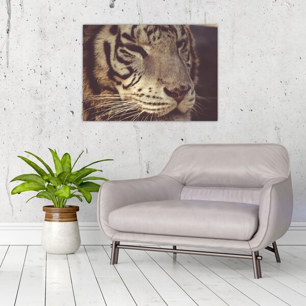 Tablou cu tigrul (70x50 cm)