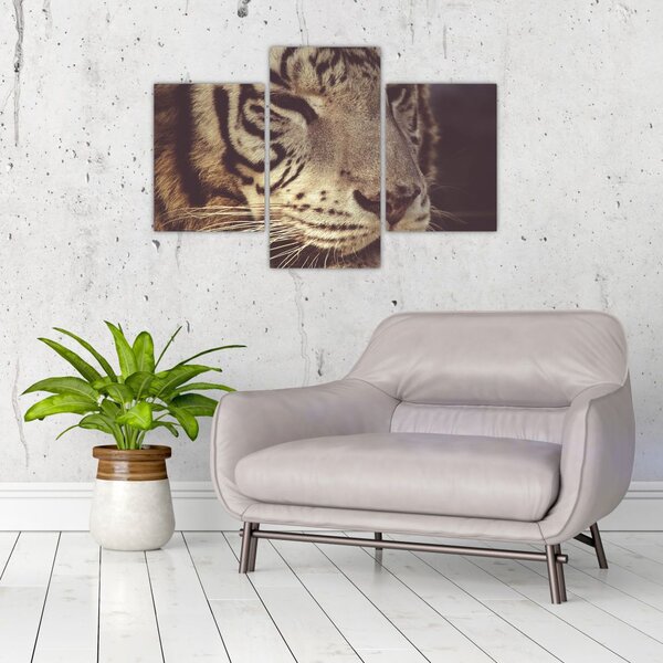 Tablou cu tigrul (90x60 cm)