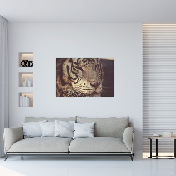 Tablou cu tigrul (90x60 cm)