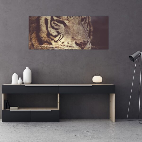 Tablou cu tigrul (120x50 cm)