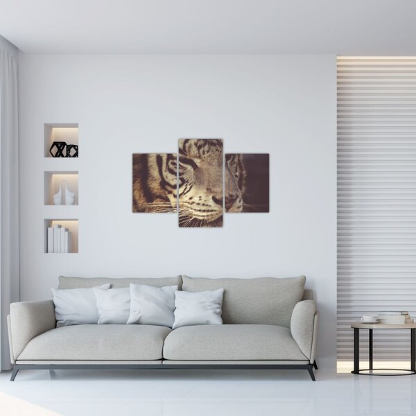 Tablou cu tigrul (90x60 cm)