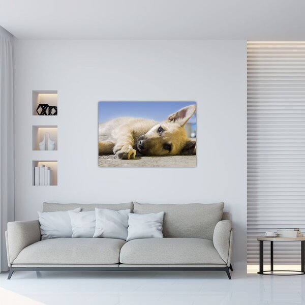 Tablou cu cățeluș dormind (90x60 cm)
