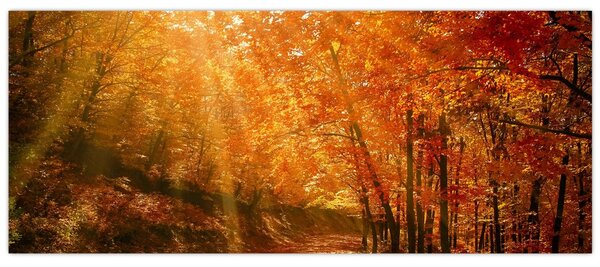 Tablou cu pădurea în toamnă (120x50 cm)