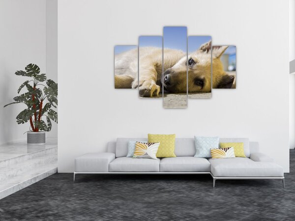 Tablou cu cățeluș dormind (150x105 cm)