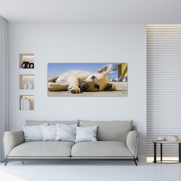 Tablou cu cățeluș dormind (120x50 cm)