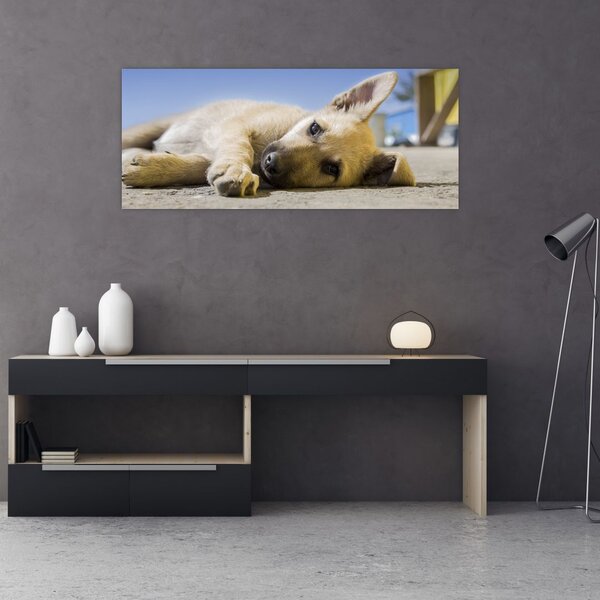 Tablou cu cățeluș dormind (120x50 cm)