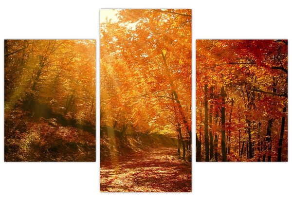 Tablou cu pădurea în toamnă (90x60 cm)