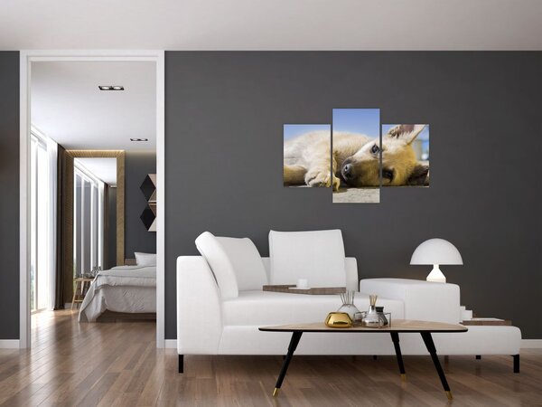Tablou cu cățeluș dormind (90x60 cm)