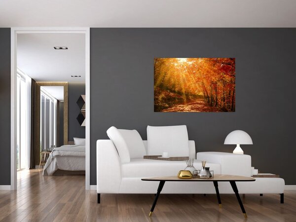 Tablou cu pădurea în toamnă (90x60 cm)