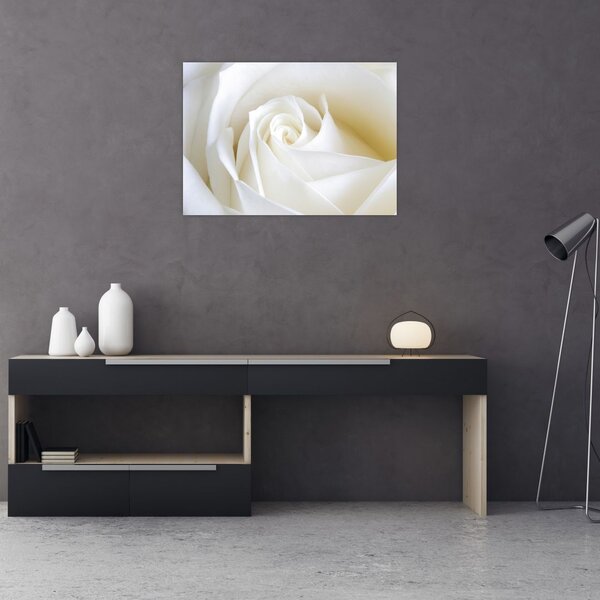 Tablou cu tandafir alb (70x50 cm)