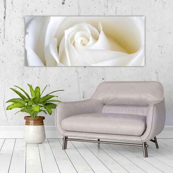 Tablou cu tandafir alb (120x50 cm)