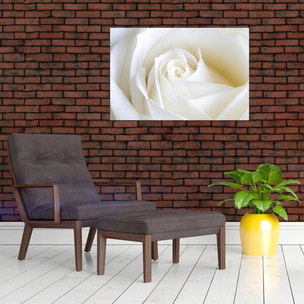 Tablou cu tandafir alb (90x60 cm)