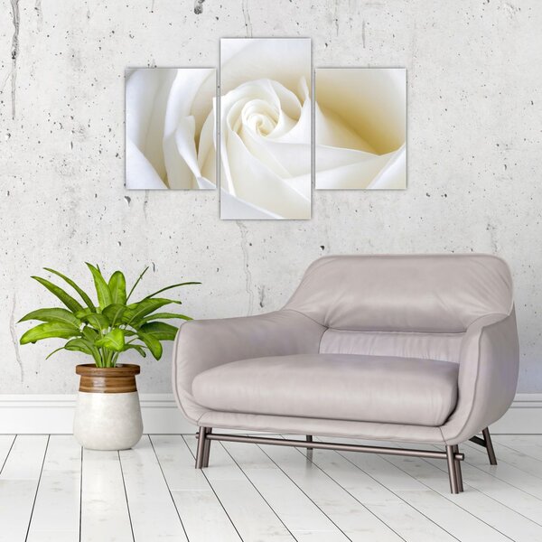 Tablou cu tandafir alb (90x60 cm)