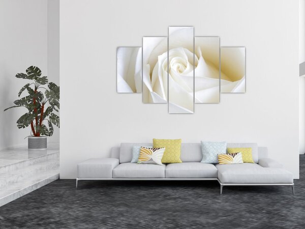 Tablou cu tandafir alb (150x105 cm)