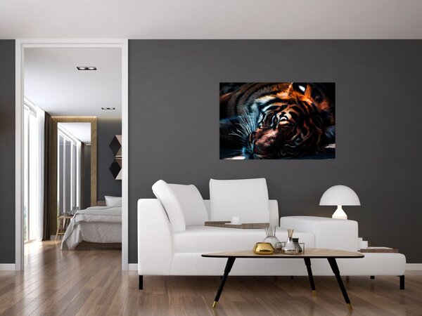 Tablou cu tigrul dormind (90x60 cm)