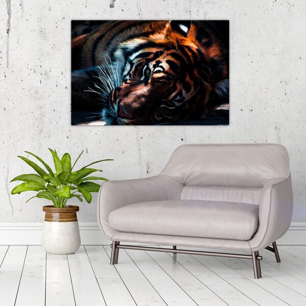 Tablou cu tigrul dormind (90x60 cm)