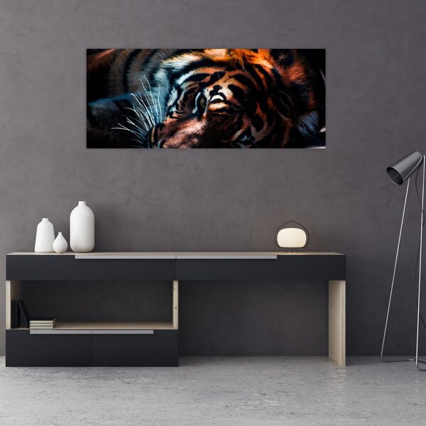 Tablou cu tigrul dormind (120x50 cm)