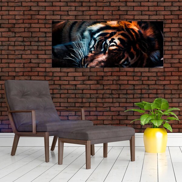 Tablou cu tigrul dormind (120x50 cm)
