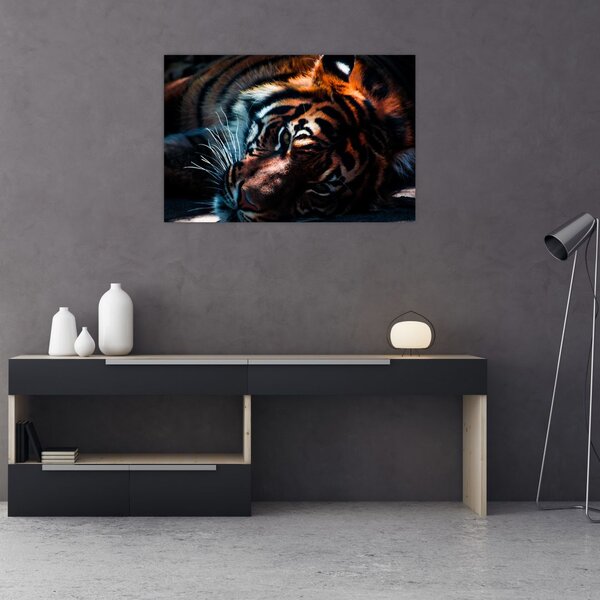 Tablou cu tigrul dormind (90x60 cm)