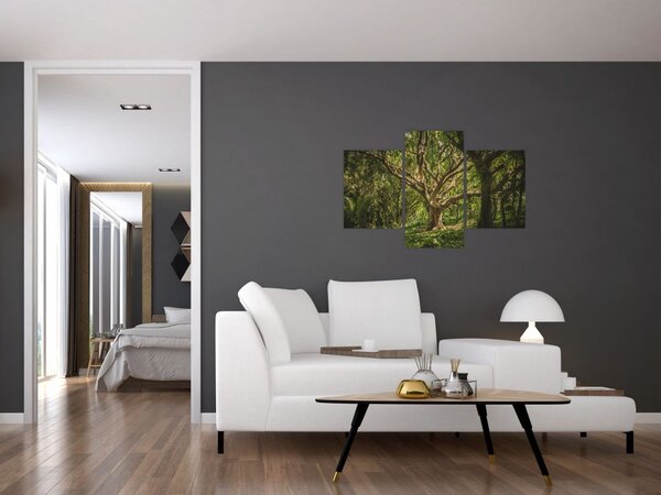 Tablou cu copaci (90x60 cm)