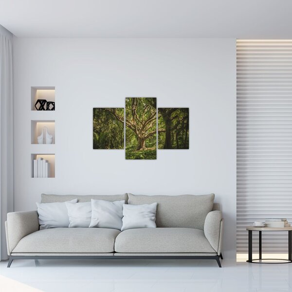 Tablou cu copaci (90x60 cm)