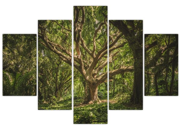 Tablou cu copaci (150x105 cm)
