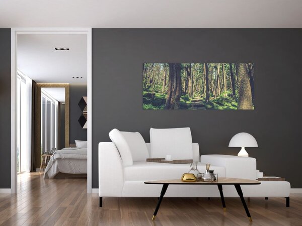 Tablou cu drum între copaci (120x50 cm)